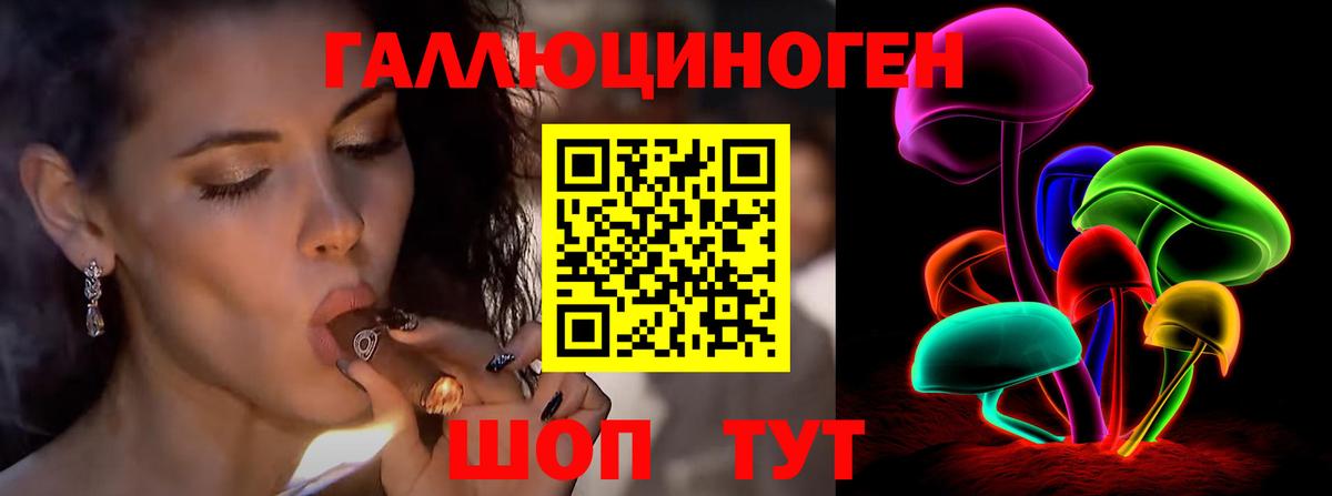 Псилоцибиновые грибы мицелий Казань