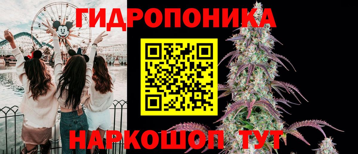 Каннабис индика Казань